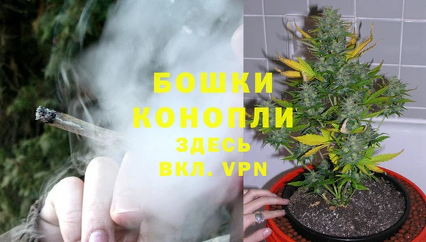 соль ск Елизово