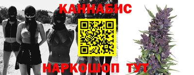 мяу мяу мука Будённовск