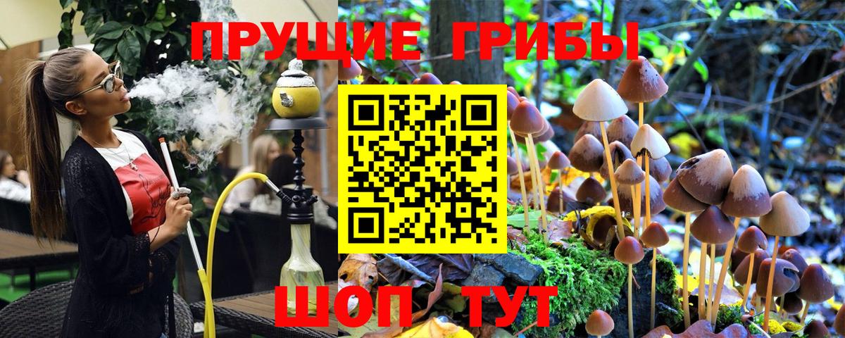 Псилоцибиновые грибы мухоморы Ногинск